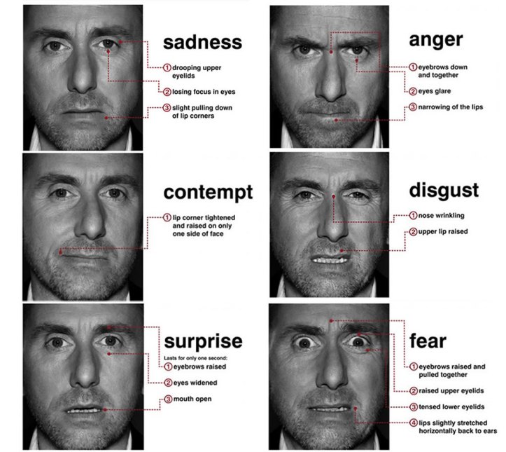 micro_expressions_tim_roth